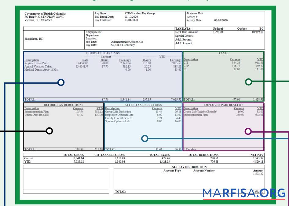 Blank Bargaining UNIT employee pay stub download for verification